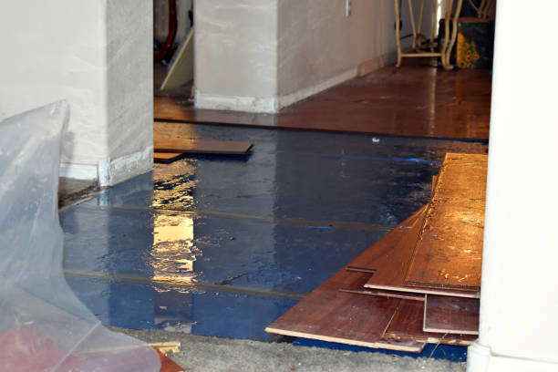 Professional Storm Water Damage Restoration technician working in Pecks Mill, WV
